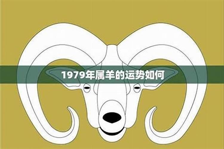 生肖1979羊一生运势