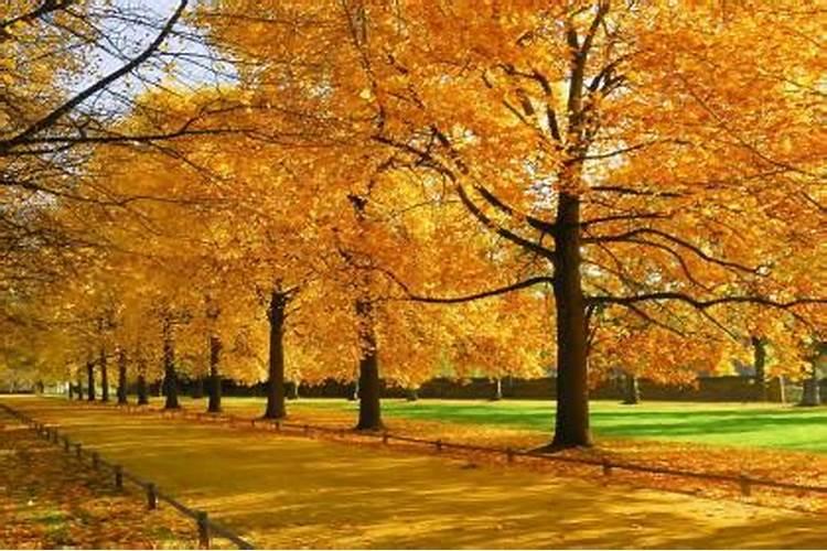 十月初一出生的缺什么名字？