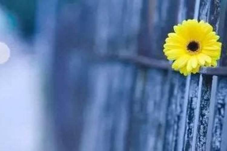 童子命都有哪些关口？