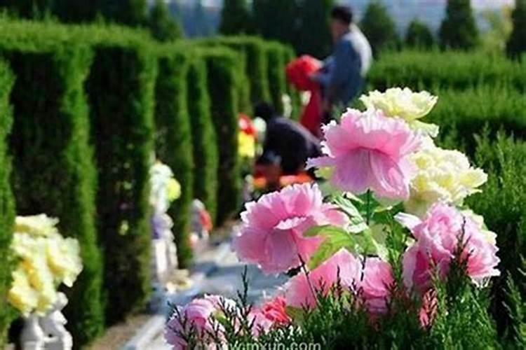 经常梦见死去的老公