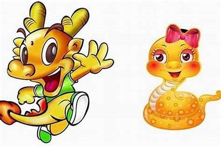 属龙男和属蛇女合婚吗？