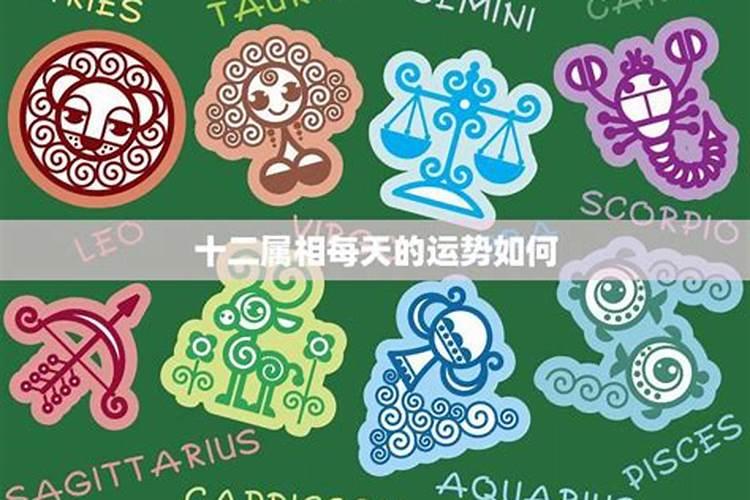 2026年3月6号12属相的运势如何？