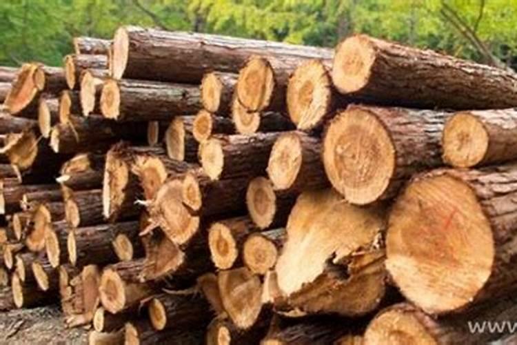 梦见成车的木材是什么意思啊？