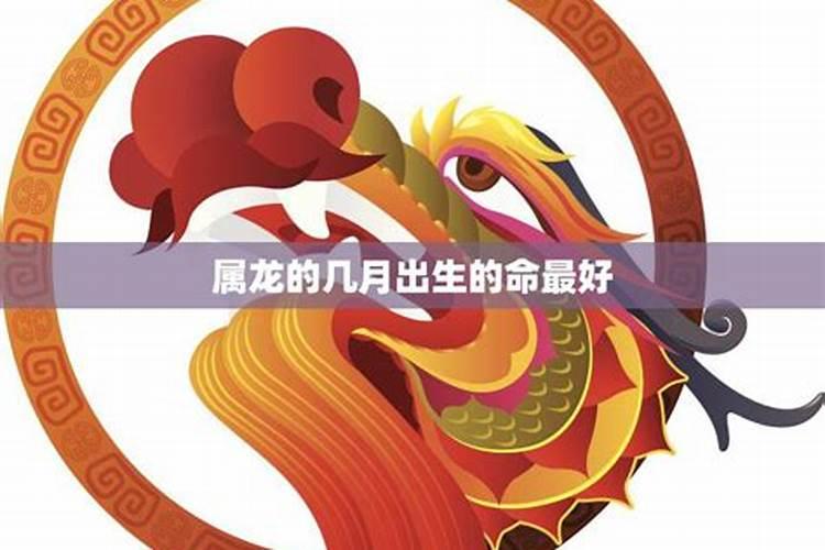 属龙的几月生是童子命？