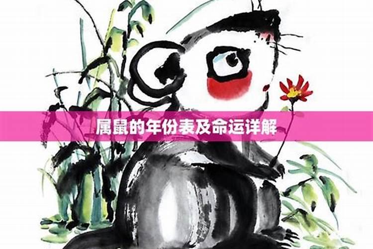 2026属鼠金命运势如何？