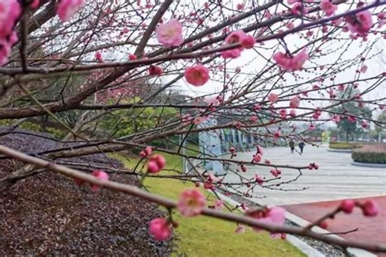 绍兴正月初一去哪里逛逛？