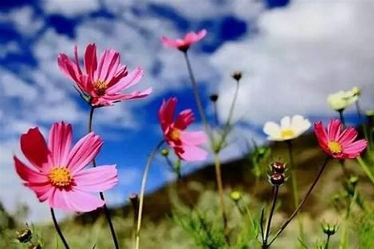 腊月超度婴灵最佳时间