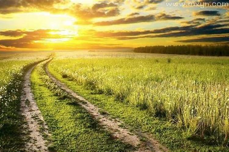 梦见回家的路很不好走