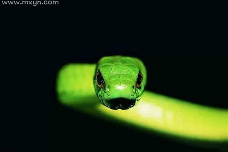 梦见蛇追我什么意思解梦？