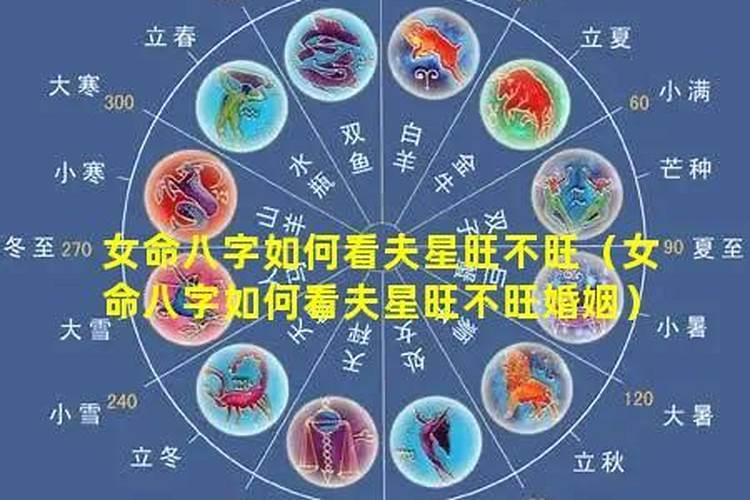 怎样看八字盘旺不旺婚姻？