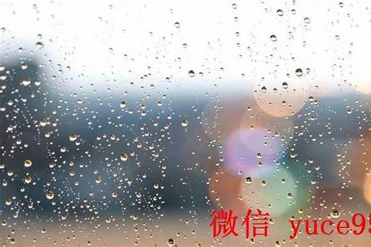 梦到一大片地什么意思？